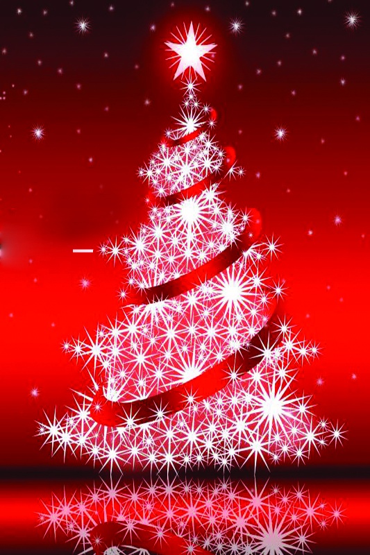 Arbre de Noël CSE CMCAS Littoral Côte d'Opale